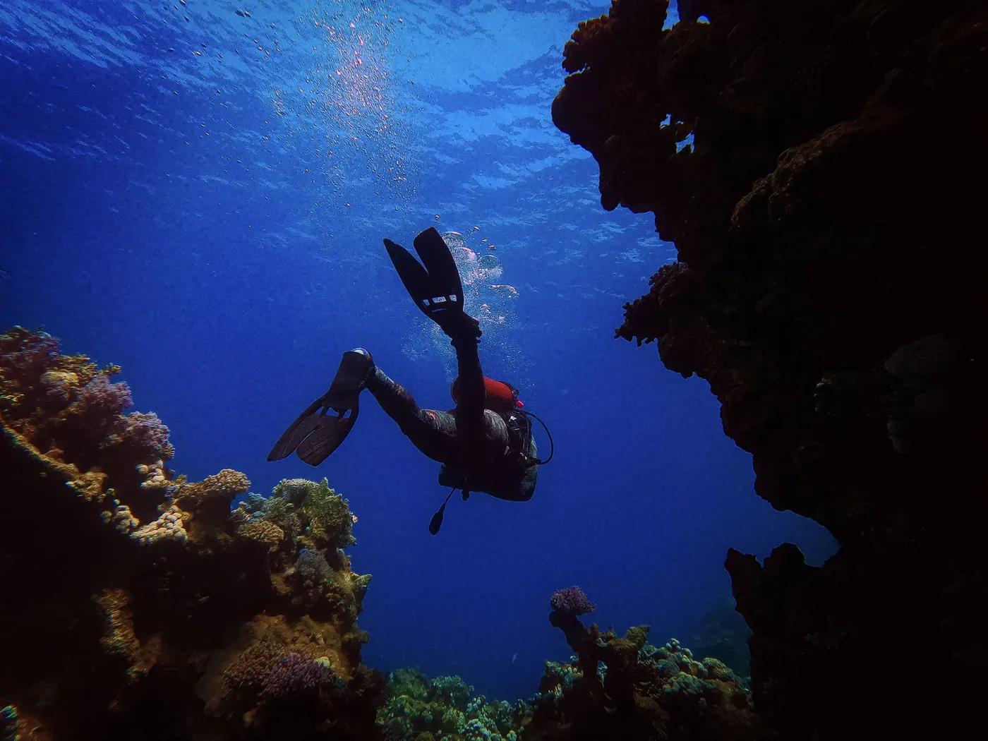 Scuba diver navigating through vibrant coral formations in deep blue ocean waters.