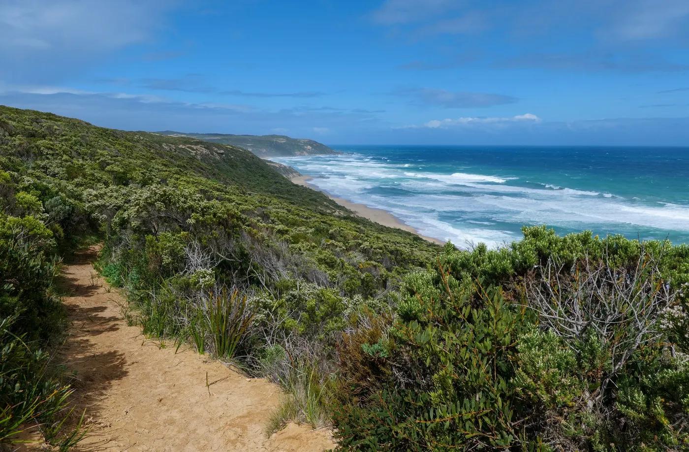 Explore the breathtaking coastal landscape of Victoria, Australia, with lush greenery and ocean views.
