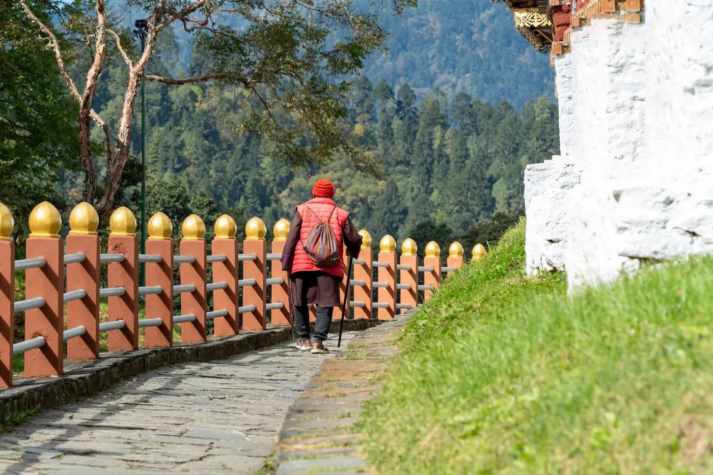 A person walking on a path surrounded by lush trees and hills in autumn.