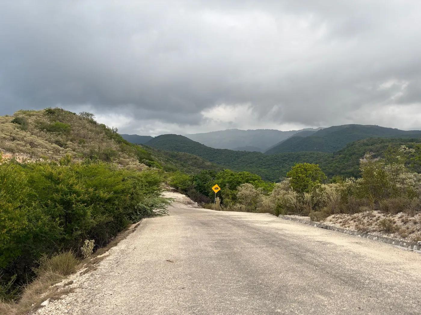 Mountain road bordered by lush vegetation under a cloud-filled sky, ideal for travel enthusiasts.