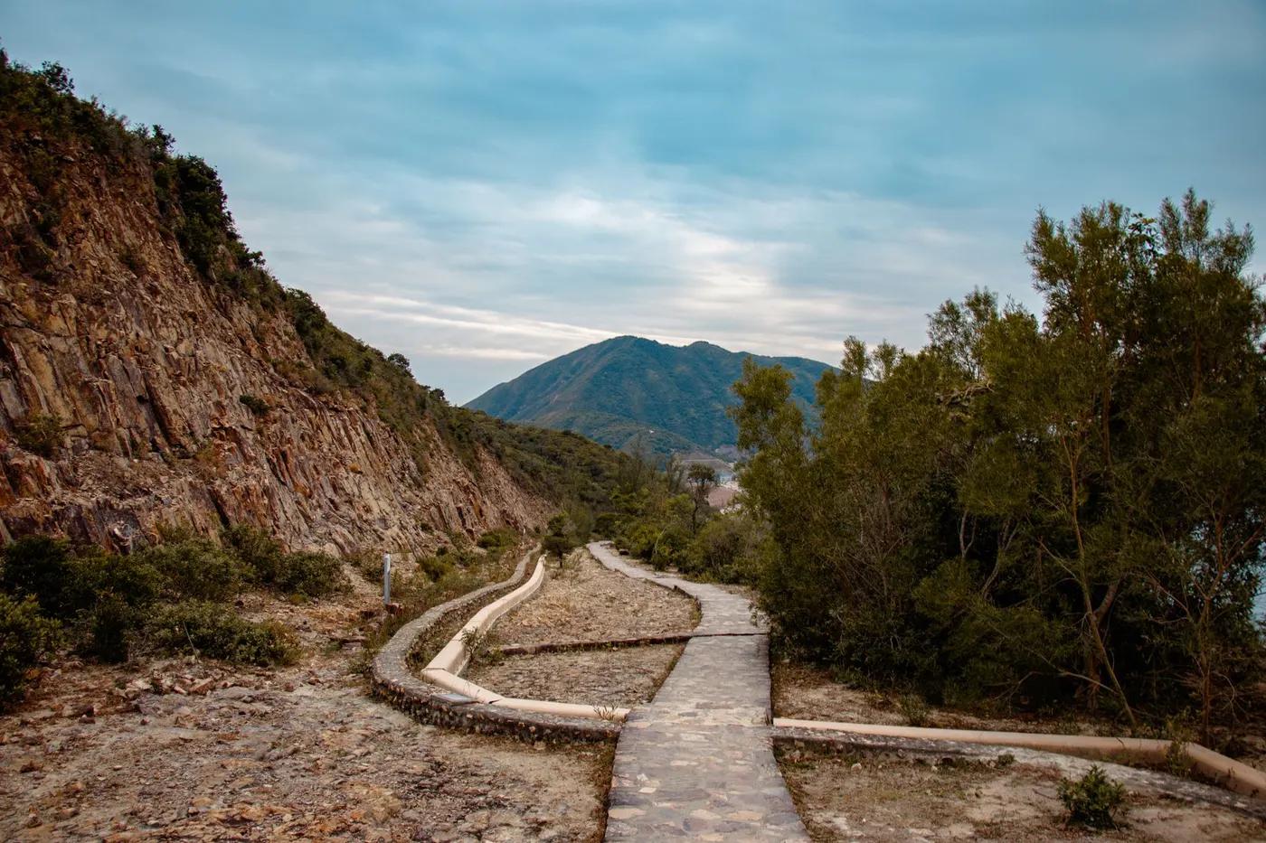 A picturesque paved hiking trail in Hong Kong with lush greenery and distant mountains.
