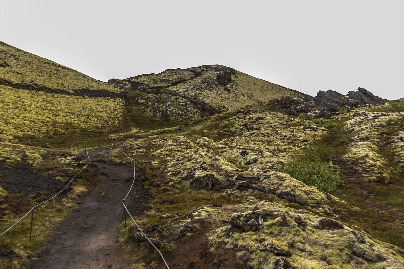 Explore the moss-covered volcanic landscapes of Iceland on this hiking trail.