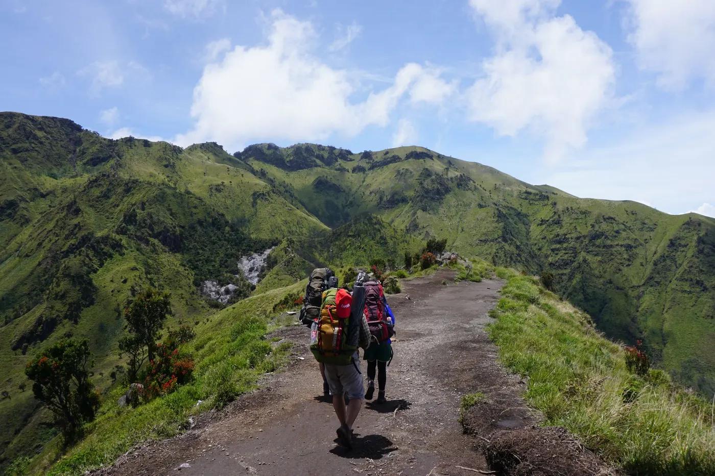 Adventurers trek on a scenic trail with lush mountain views in Mount Merbabu, Central Java, Indonesia.