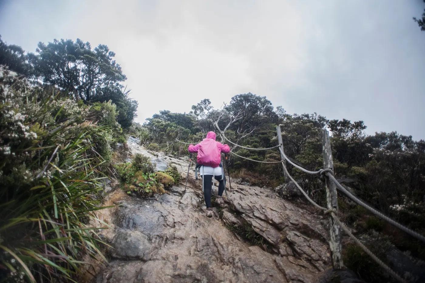 Person hiking on steep trail in Mount Kinabalu, Ranau, Sabah, Malaysia, wearing pink jacket.